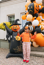 Load image into Gallery viewer, FB434 Scary Pumpkins