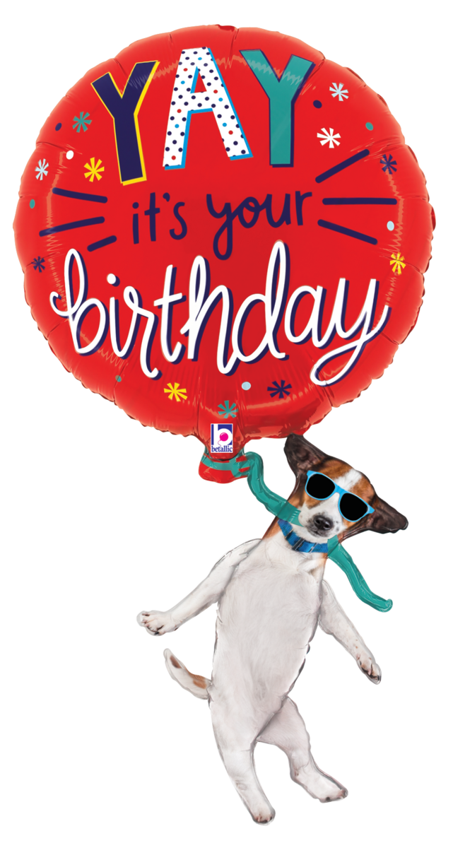 25291 Yay Birthday Dog