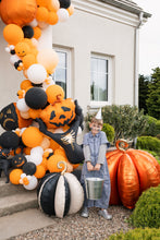 Load image into Gallery viewer, FB432 Scarecrow
