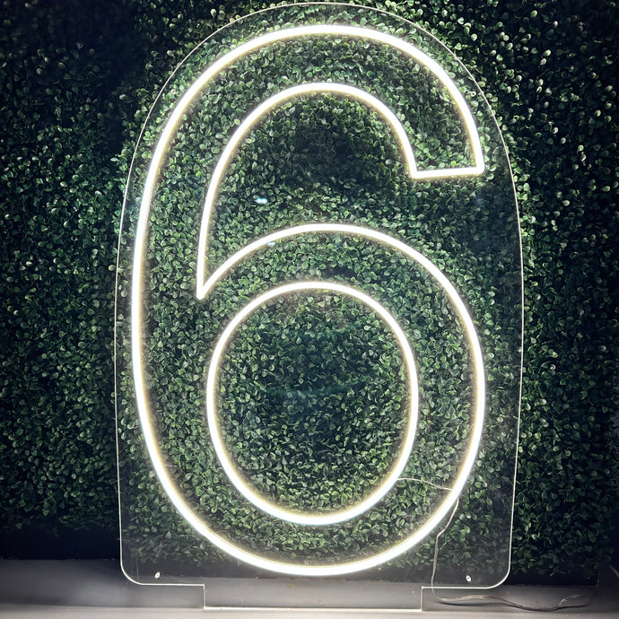 Number 6 Neon Sign Rental