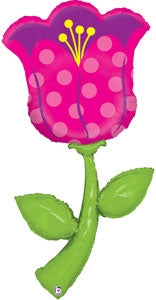 85614 Fresh Picks Tulip