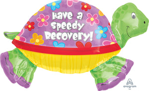 11077 Speedy Recovery Turtle