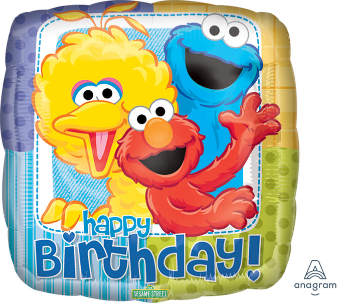 17852 Sesame Street Birthday