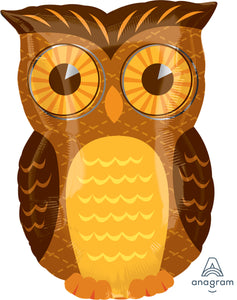 18385 Fall Owl