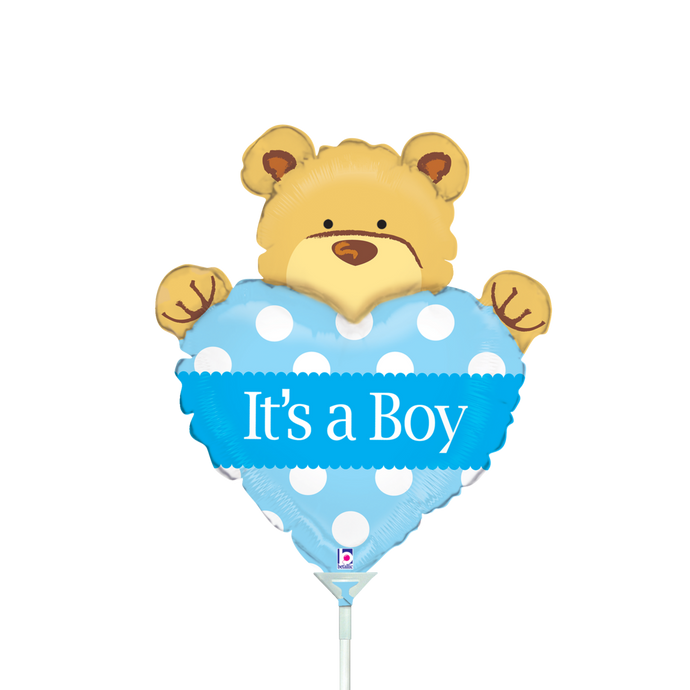 19826 Big Heart Bear Boy
