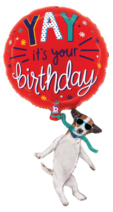 25291 Yay Birthday Dog