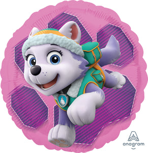 34088 Paw Patrol Skye & Everest
