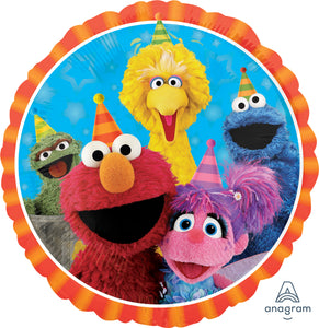 34394 Sesame Street Fun