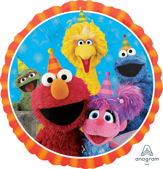 34394 Sesame Street Fun