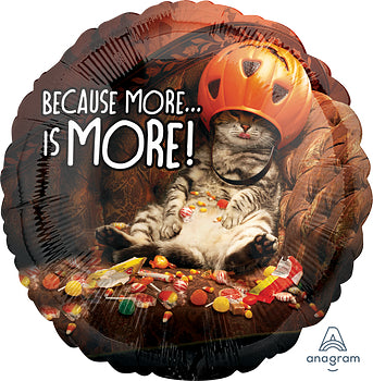 38111 Avanti Candy Cat