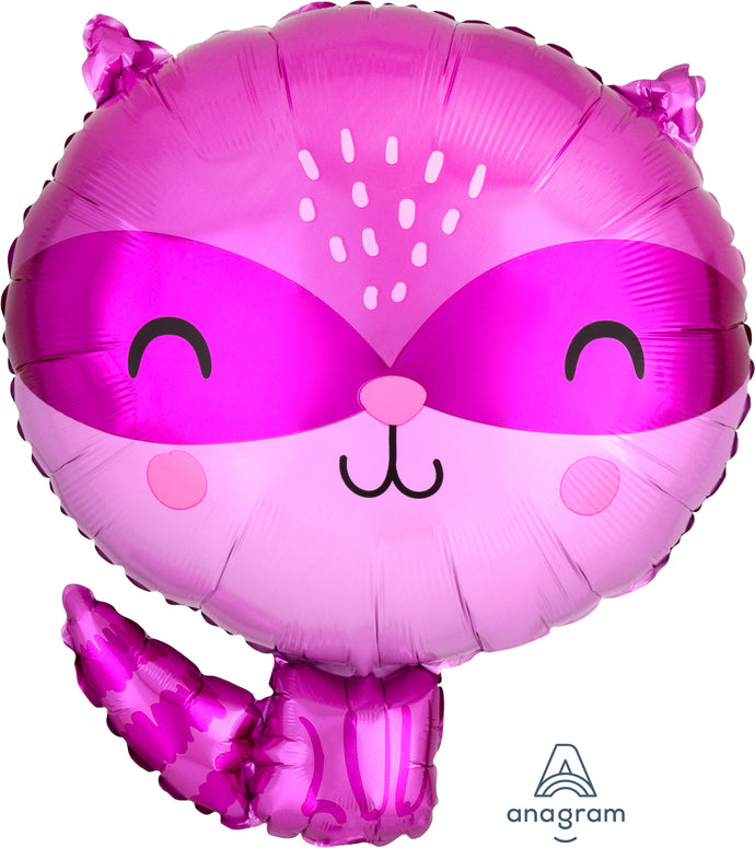 41206 Raccoon