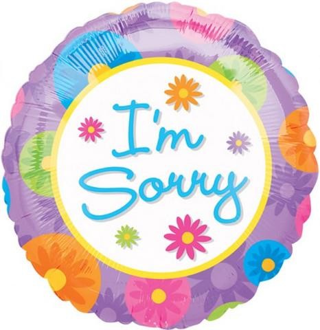 11119 I'm Sorry