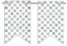 120508 Create Your Own Pennant Banner - 2 Point White/Silver