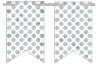 120508 Create Your Own Pennant Banner - 2 Point White/Silver