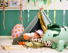 Load image into Gallery viewer, FB186 Triceratops
