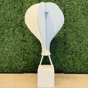 3D Hot Air Balloon Rental