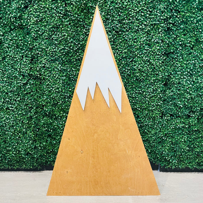 Medium Mountain Rental