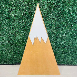 Large Mountain Rental