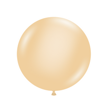 Load image into Gallery viewer, 24073 Tuftex Blush 24" Round (25ct)
