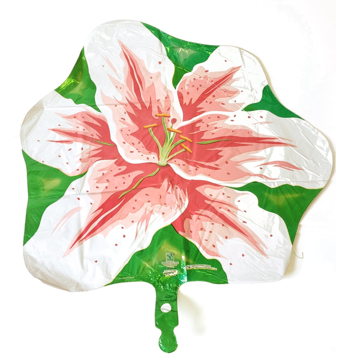 77166 Lily